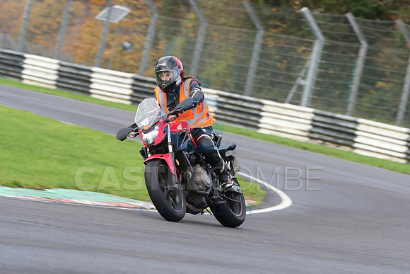 BIKES 0261