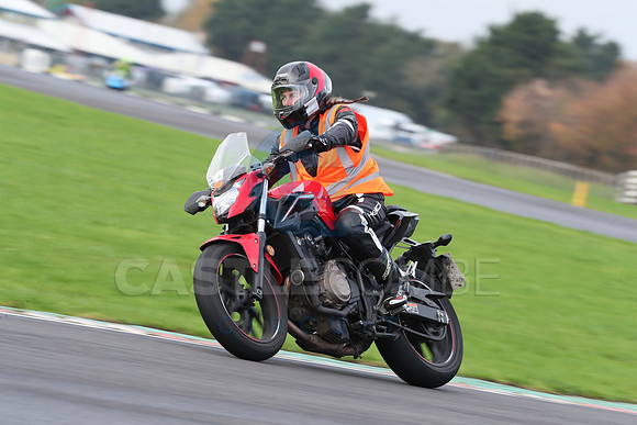 BIKES 0262