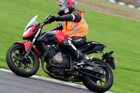 BIKES 0287