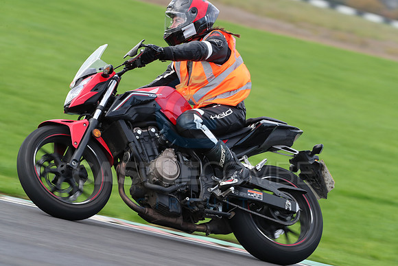 BIKES 0287