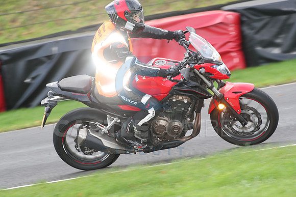 BIKES 0669
