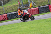 BIKES 0717