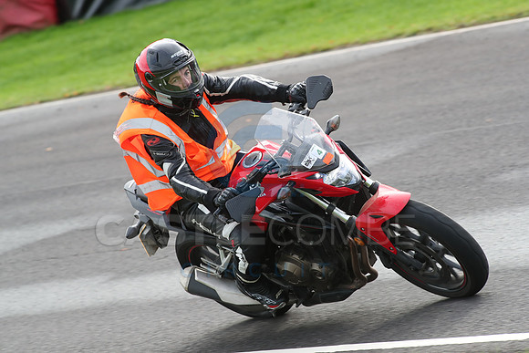 BIKES 0746