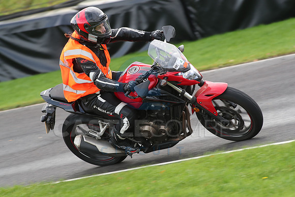 BIKES 0719