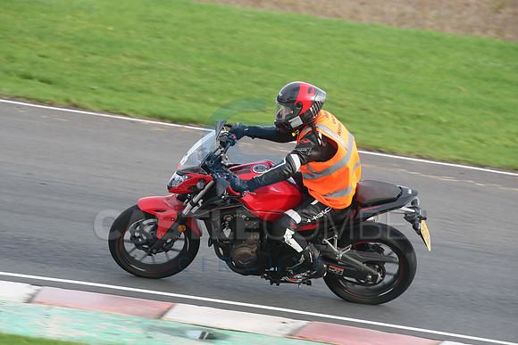 BIKES 2709