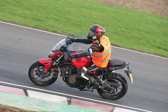 BIKES 2752