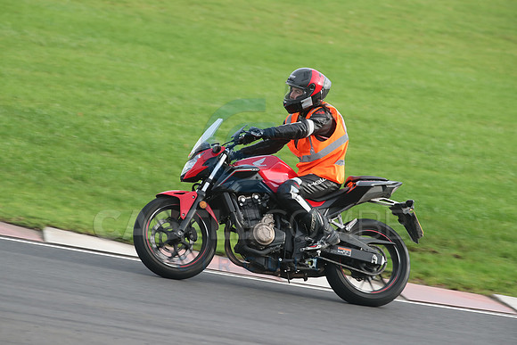 BIKES 2751