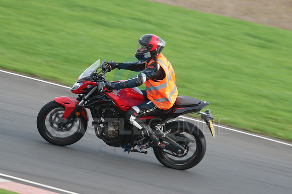 BIKES 2773