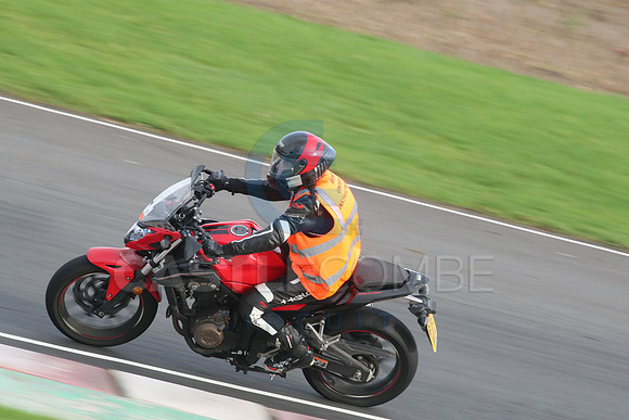 BIKES 2774