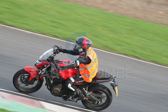 BIKES 2775