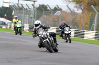 BIKES 0280