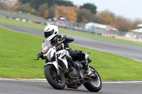 BIKES 0282
