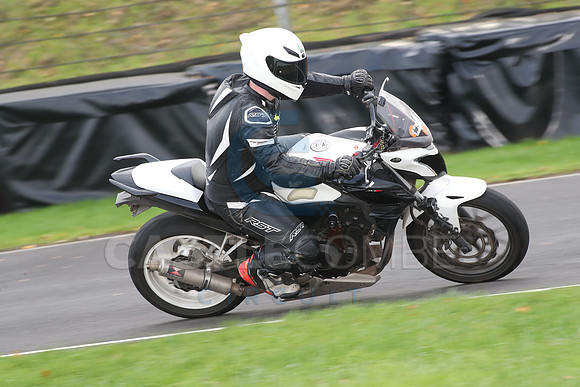 BIKES 0696