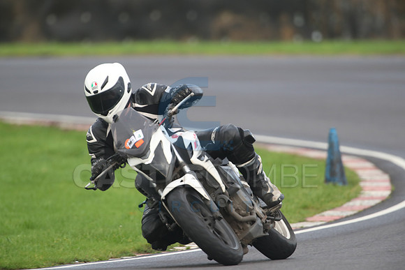 BIKES 1329