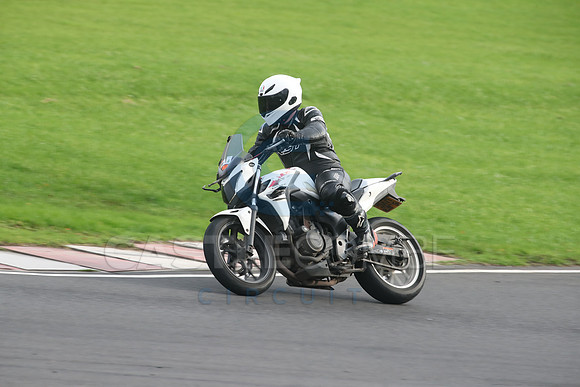 BIKES 2719