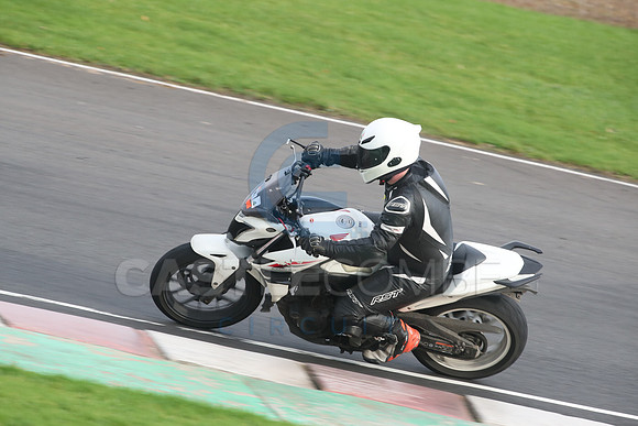 BIKES 2722