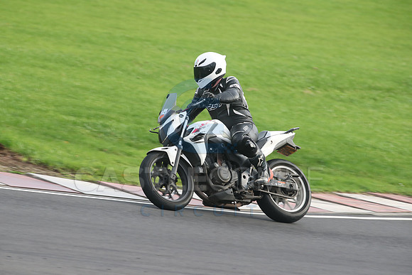 BIKES 2753