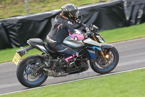 BIKES 0663