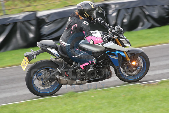 BIKES 0689
