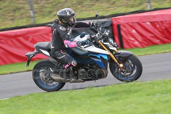 BIKES 0688
