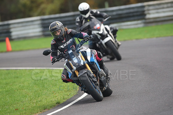 BIKES 2010