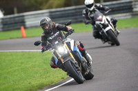 BIKES 2011