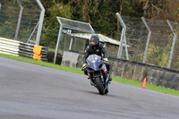 BIKES 0264