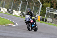 BIKES 0265