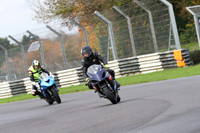 BIKES 0288