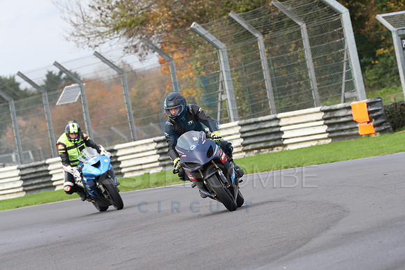 BIKES 0288
