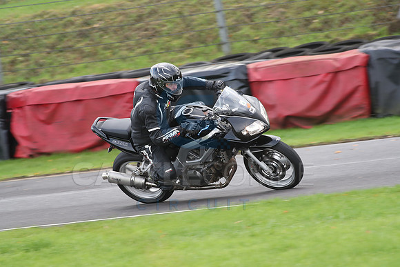 BIKES 0690