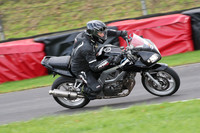 BIKES 0691