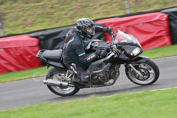 BIKES 0691