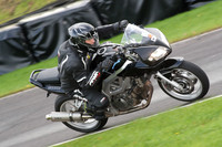 BIKES 0711
