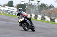 BIKES 0277