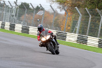 BIKES 0299