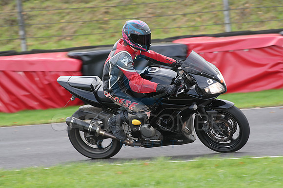 BIKES 0677