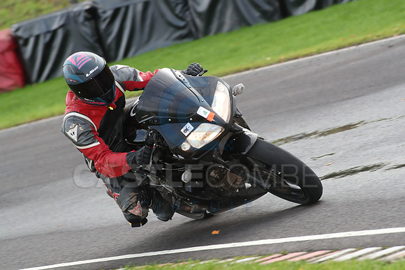 BIKES 0731