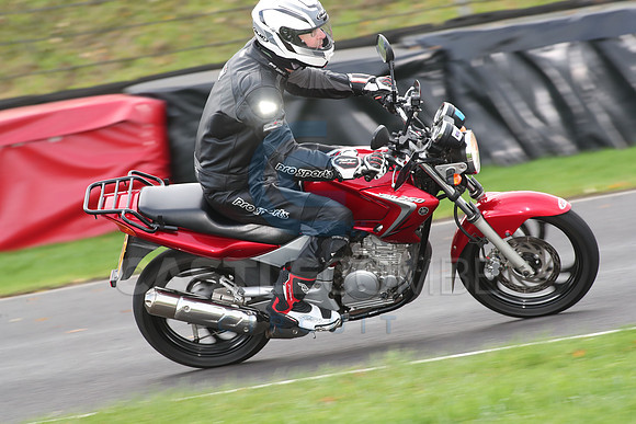 BIKES 0665