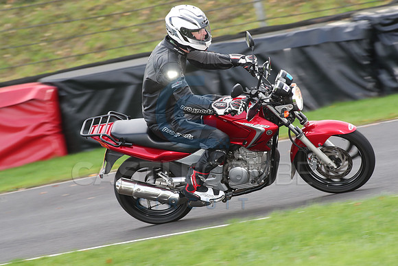 BIKES 0699