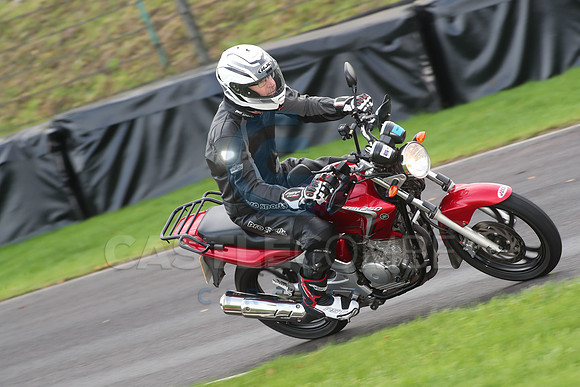 BIKES 0716