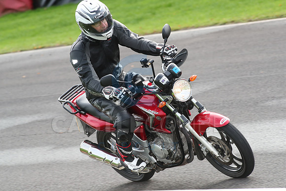 BIKES 0749