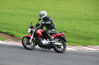 BIKES 2730