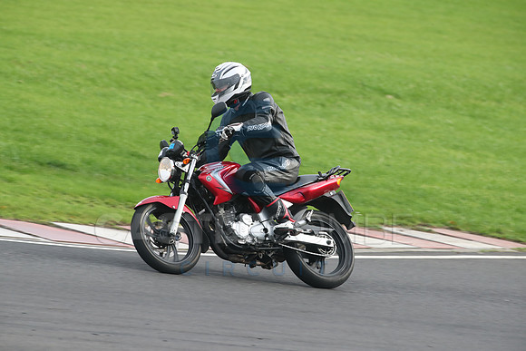 BIKES 2729