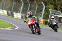 BIKES 0250