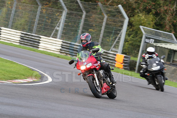 BIKES 0250