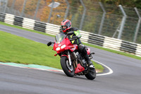 BIKES 0251