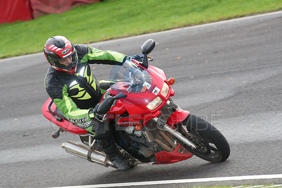BIKES 0736