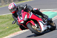 BIKES 0913