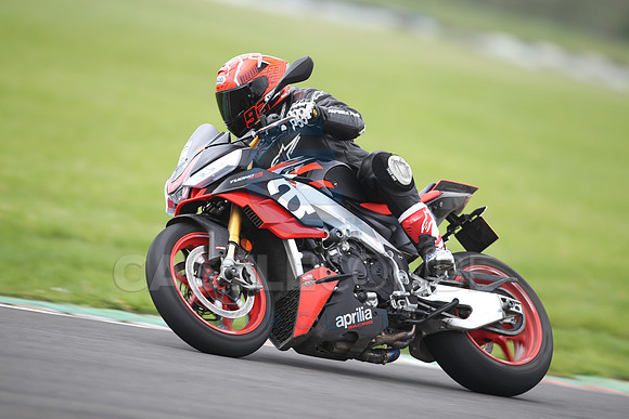 BIKES 1304